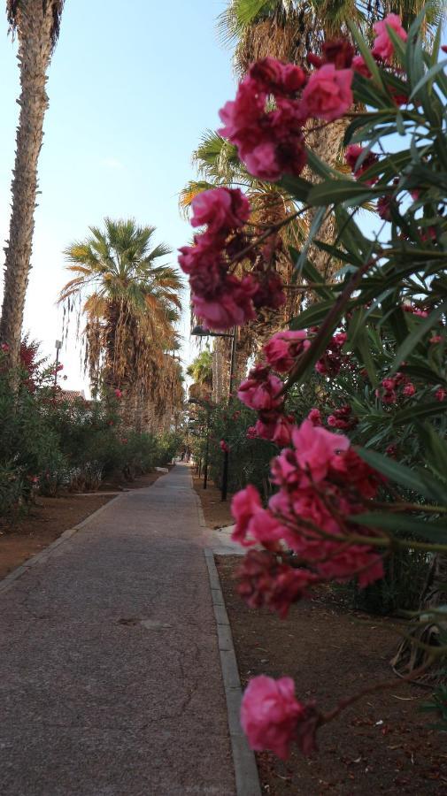 Apartamento En Tenerife Sur, Parque Santiago 2 Arona  Bagian luar foto